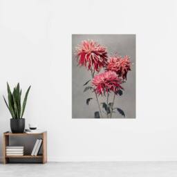 "Artery8 Pink Chrysanthemum Flowers Vintage Japan Wall Art Print Kazumasa - Size: W12"" x H16""" - thumbnail 4