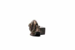 Jardinopia Snail Plant Pot Feet - Set of 3 in Bronze - thumbnail 2