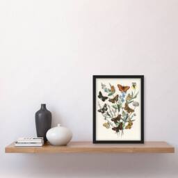 "Artery8 Butterflies & Caterpillars Kirby Vintage Framed Wall Art Print in White - Size: W12"" x H16""" - thumbnail 4