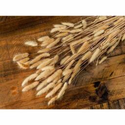 Lemon Pavilion Furniture and Decor Bouquet of Tall Bunny Tails Artificial Plant, L18 x W18 x H76 cm in Beige - thumbnail 3