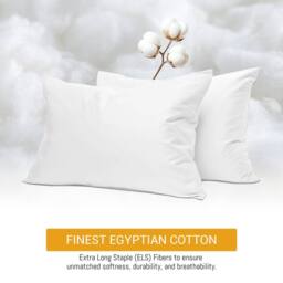 Grace 100% Egyptian Cotton Pack of 2 Pillowcases with Envelope Closure in White - Size: Standard Pillow Case - thumbnail 2