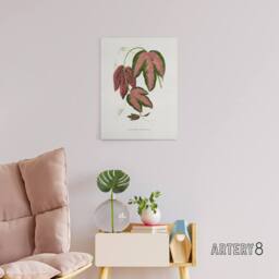 "Artery8 AF Lydon B Fawcett Passiflora Trifasciata Leaves Canvas Wall Art Print in White - Size: W12"" x H16""" - thumbnail 3