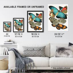 Artery8 Vintage Butterflies Blue & Orange Vintage Framed Wall Art Print Seguy - Size: A4 - thumbnail 3