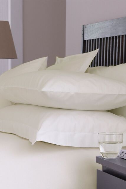 Martex Sestina 100% Cotton Continental Housewife Pillowcases Pair - 68 x 68cm in Ivory - Size: 68 x 68 cm - image 1