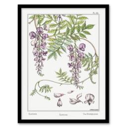 Artery8 Maurice Pillard Verneuil Framed Wall Art Print Wisteria Flower in White - Size: A4 - thumbnail 1