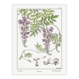 Artery8 Maurice Pillard Verneuil Framed Wall Art Print Wisteria Flower in White - Size: A4 - thumbnail 3