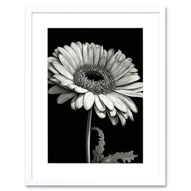 "Artery8 Wall Art Print Black & White Pencil Drawing of a Gerbera Flower Artwork Framed 9X7 Inch - Size: W7"" x H9""" - image 1