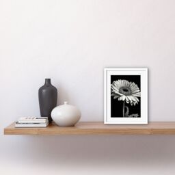 "Artery8 Wall Art Print Black & White Pencil Drawing of a Gerbera Flower Artwork Framed 9X7 Inch - Size: W7"" x H9""" - thumbnail 2