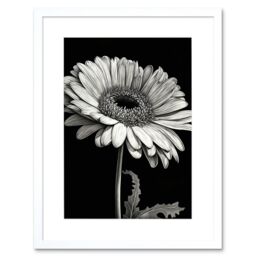 "Artery8 Wall Art Print Black & White Pencil Drawing of a Gerbera Flower Artwork Framed 9X7 Inch - Size: W7"" x H9""" - thumbnail 1