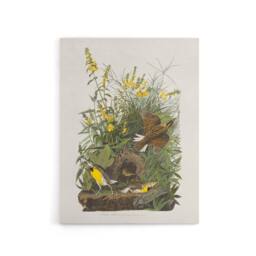 "Artery8 Meadowlark Bird False Foxglove Audubon Canvas Wall Art in White - Size: W18"" x H24""" - thumbnail 1