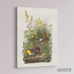 "Artery8 Meadowlark Bird False Foxglove Audubon Canvas Wall Art in White - Size: W18"" x H24""" - thumbnail 2