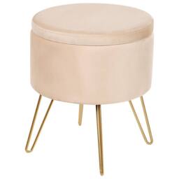 Wyld and Coco Light Beige Velvet Storage Pouffe 42 x 42 x 44 cm with Gold Metal Legs - thumbnail 2