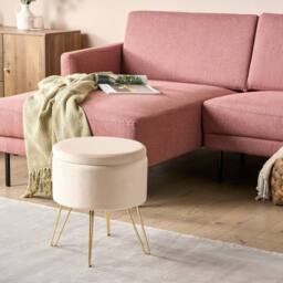 Wyld and Coco Light Beige Velvet Storage Pouffe 42 x 42 x 44 cm with Gold Metal Legs