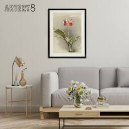 "Artery8 F Sander Phaius Hybridus Cooksonii Orchid Flowers Framed Canvas Art - Size: W12"" x H16""" - thumbnail 3