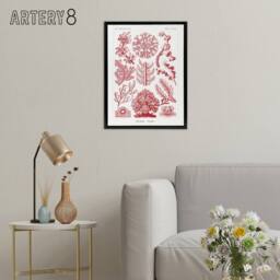 "Artery8 Florideophyceae Red Algae Haeckel Botanical Black Framed Canvas Art in White - Size: W12"" x H16""" - thumbnail 3