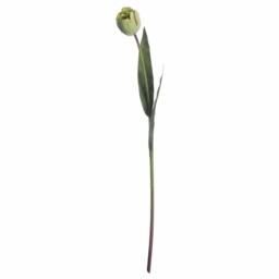 Lemon Pavilion Furniture and Decor Tulip Artificial Flower - Plastic - L8 x W8 x H50 cm - Green - thumbnail 4