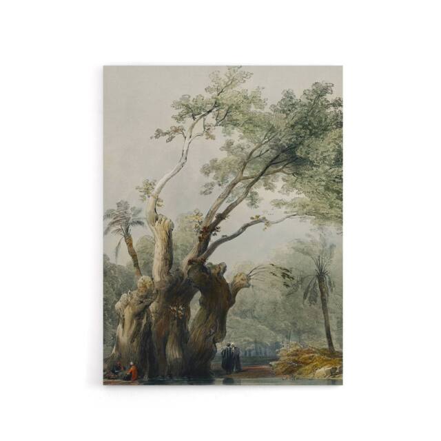 "Artery8 The Holy Tree of Metereah D. Roberts Vintage Canvas Wall Art in Green - Size: W18"" x H24""" - image 1