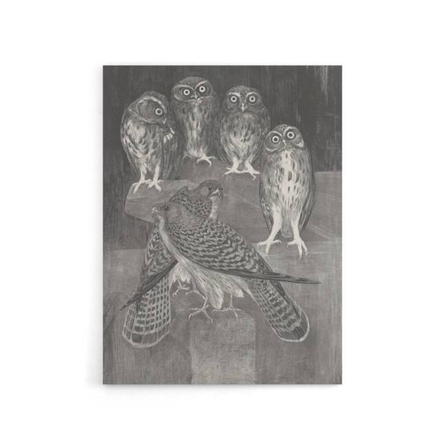 "Artery8 Four Owls & Two Kestrels Canvas Wall Art Print van Hoytema in Grey - Size: W24"" x H32""" - image 1