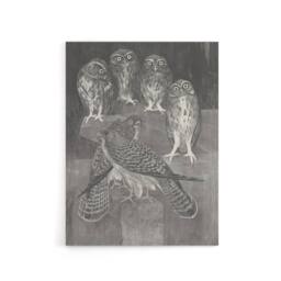 "Artery8 Four Owls & Two Kestrels Canvas Wall Art Print van Hoytema in Grey - Size: W24"" x H32""" - thumbnail 1