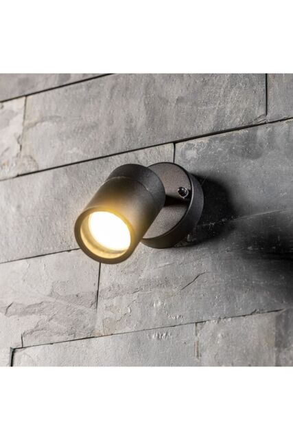 CGC Lighting 'Leon' Black Stainless Steel Adjustable Outdoor Wall Spotlight - image 1