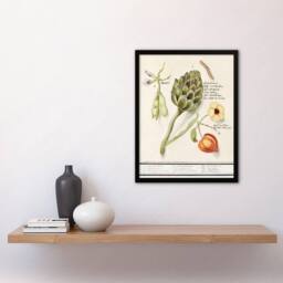 "Artery8 Artichoke Broad beans & Groundcherry de Boodt Framed Wall Art Print in White - Size: W12"" x H16""" - thumbnail 4