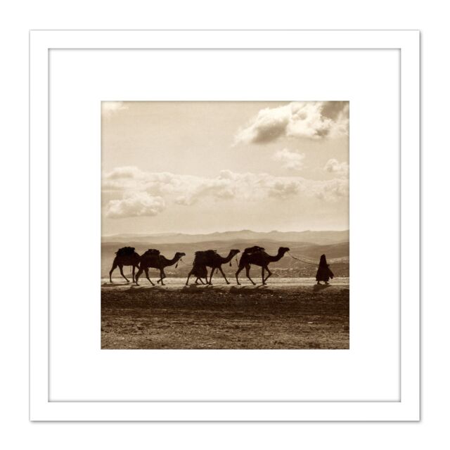Artery8 Photo Egyptian Camel Train Caravan Desert Panorama 8X8 Inch Square Wooden Framed Wall Art Print Picture with Mount in White - image 1
