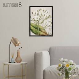 "Artery8 New Zealand Brachyglottis Hectorii Daisies Featon Framed Canvas Art in Beige - Size: W12"" x H16""" - thumbnail 3