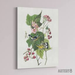 "Artery8 Black & Yellow Warblers Audubon Nature Canvas Wall Art in White - Size: W18"" x H24""" - thumbnail 2