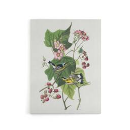 "Artery8 Black & Yellow Warblers Audubon Nature Canvas Wall Art in White - Size: W18"" x H24""" - thumbnail 1