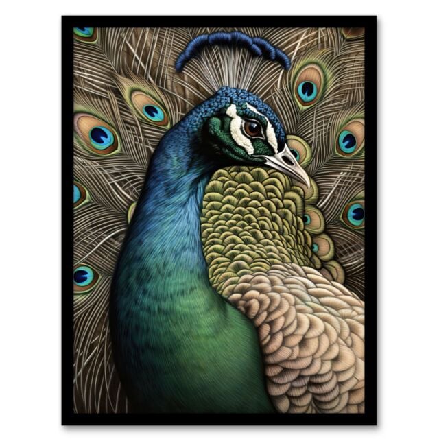 Artery8 Curious Peacock Detailed Pen & Ink Study Turquoise Modern Artwork Framed Wall Art Print A4 in Black - image 1