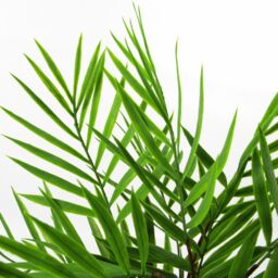 Leaf 40cm Artificial Bamboo Palm Bush Plant in Green - thumbnail 3