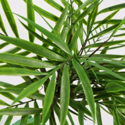 Leaf 40cm Artificial Bamboo Palm Bush Plant in Green - thumbnail 6