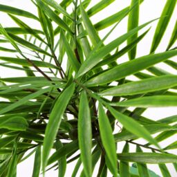 Leaf 40cm Artificial Bamboo Palm Bush Plant in Green - thumbnail 4