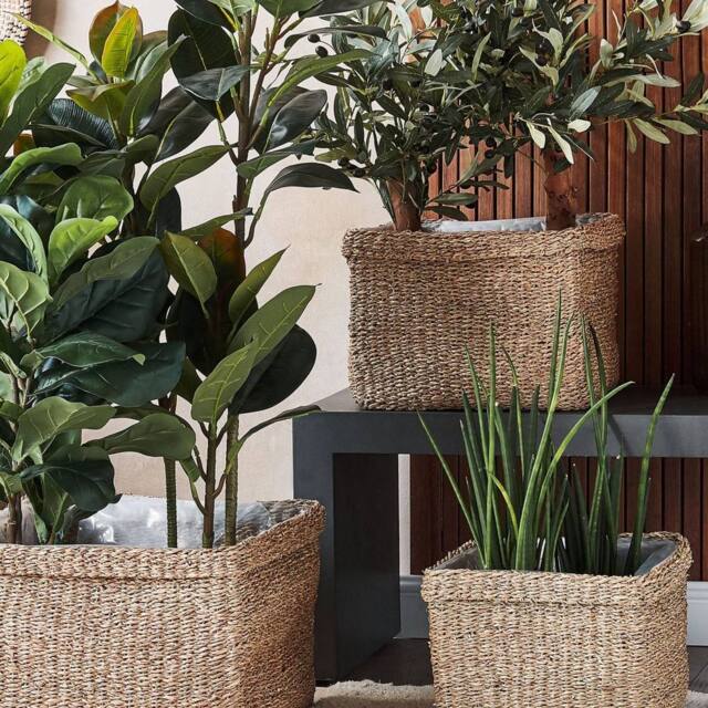 Wyld and Coco Natural Seagrass Planter Set of 3 - 23x34 cm 27x36 cm 30x45 cm in Brown - Size: Large - image 1