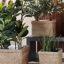Wyld and Coco Natural Seagrass Planter Set of 3 - 23x34 cm 27x36 cm 30x45 cm in Brown - Size: Large - thumbnail 1