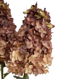 Wyld Haus Set of 3 Burgundy Spear Hydrangea Artificial Stems - thumbnail 3