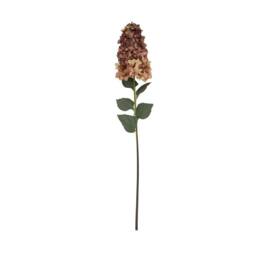 Wyld Haus Set of 3 Burgundy Spear Hydrangea Artificial Stems
