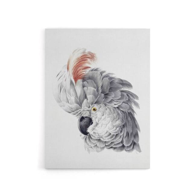 "Artery8 Cockatoo Parrot Head Watercolour Schouman Canvas Wall Art Print in White - Size: W12"" x H16""" - image 1