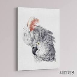 "Artery8 Cockatoo Parrot Head Watercolour Schouman Canvas Wall Art Print in White - Size: W12"" x H16""" - thumbnail 2