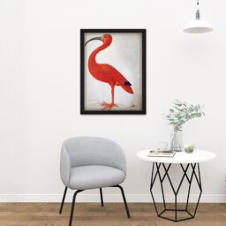 "Artery8 Wall Art Print Merian Scarlet Ibis Bird With Egg Skin Painting Large Framed Wall Décor Art in Black - Size: W18"" x H24""" - thumbnail 2