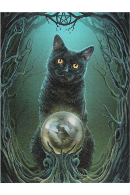 Lisa Parker Rise Of The Witches Canvas in Black - image 1