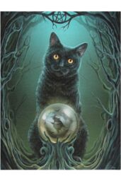 Lisa Parker Rise Of The Witches Canvas in Black - thumbnail 1