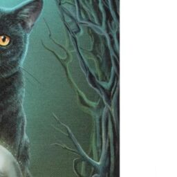 Lisa Parker Rise Of The Witches Canvas in Black - thumbnail 2
