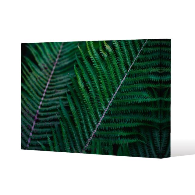 Benjamin Tate Design green leaves, abstract flora texture (Canvas Print) / 77 x 51 x 4cm in Natural - Size: 77 x 51 x 4 cm - image 1