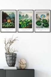 ARTZE Vintage Auricula & Lily Flowers Floral Framed Wall Art - Medium in Black - Size: W45 cm x H62 cm x D20mm - thumbnail 1