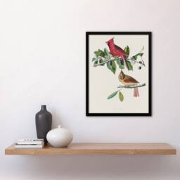 "Artery8 Cardinal Grosbeak Bird Audubon Nature Framed Wall Art Print in White - Size: W12"" x H16""" - thumbnail 4