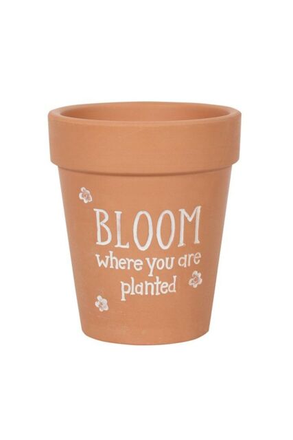 KDMD Bloom Where You Are Planted Terracotta Plant Pot in Light Brown - image 1