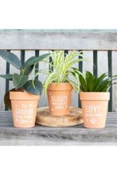 KDMD Bloom Where You Are Planted Terracotta Plant Pot in Light Brown - thumbnail 3