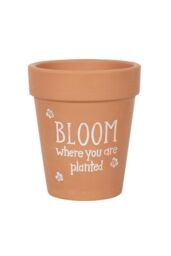 KDMD Bloom Where You Are Planted Terracotta Plant Pot in Light Brown - thumbnail 1