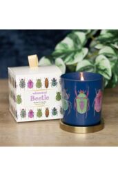 KDMD Blue Beetle Candle - thumbnail 5